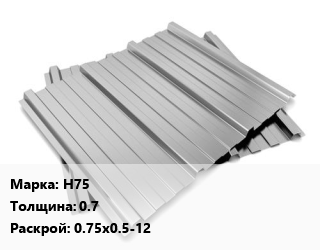 Профнастил оцинкованный Н75 s=0.7 0.75х0.5-12, м2 цена от 851.63 Тг / м2, где купить, условия доставки в Алматы и Алматинской области